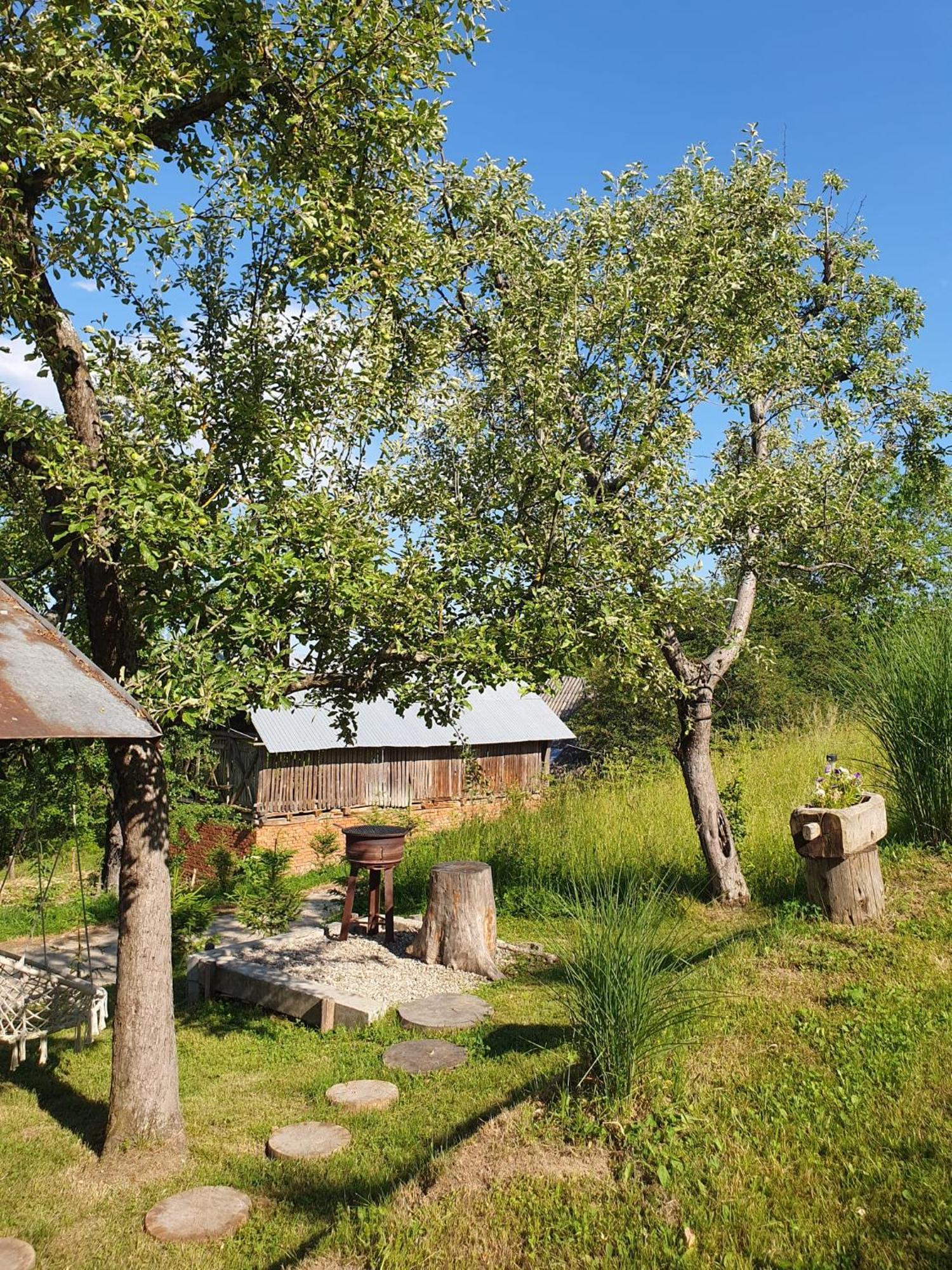 Cabana Valea Lui Mas Robaia Luaran gambar