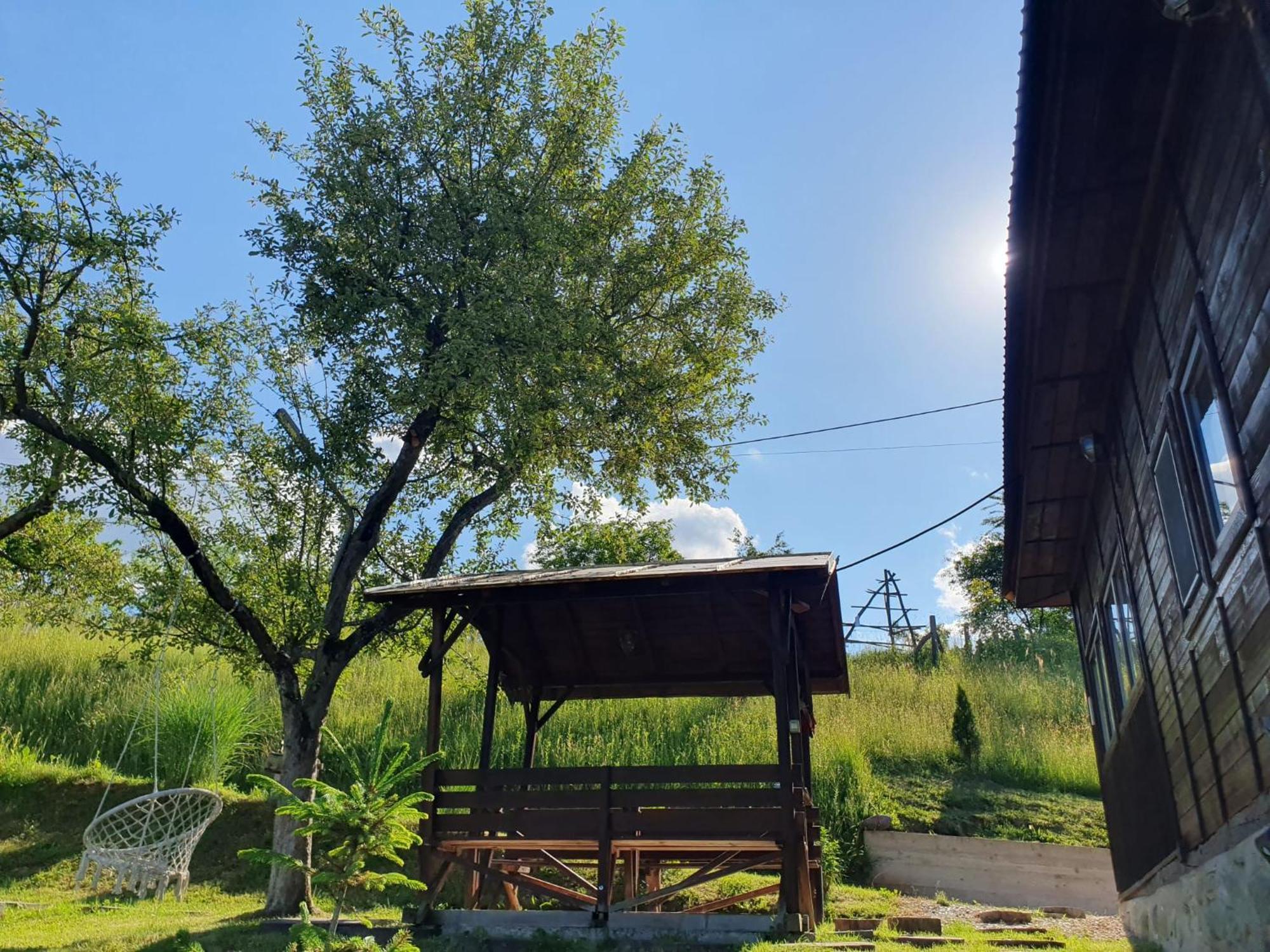 Cabana Valea Lui Mas Robaia Luaran gambar